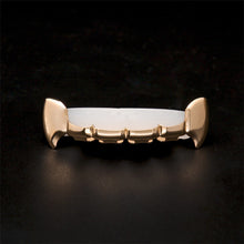 Load image into Gallery viewer, Dracula Vampire Fangs Grills Set - PLG