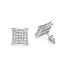 Load image into Gallery viewer, AAA Zircon Stud Earrings - PLG