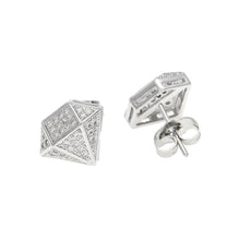 Load image into Gallery viewer, Geometric shape Stud Earrings - PLG