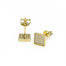Load image into Gallery viewer, Iced Zircon Stud Earrings - PLG