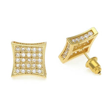 Load image into Gallery viewer, AAA Zircon Stud Earrings - PLG