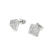Load image into Gallery viewer, Geometric shape Stud Earrings - PLG