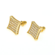 Load image into Gallery viewer, AAA Zircon Stud Earrings - PLG