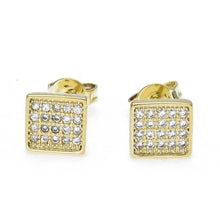 Load image into Gallery viewer, Iced Zircon Stud Earrings - PLG